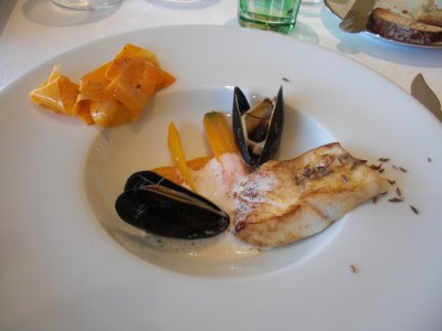 turbot